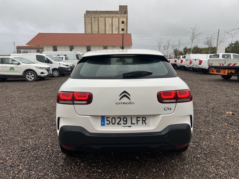 Miniatura 8